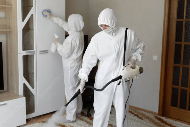 24/7 Emergency Odor Removal experts in Acton, CA