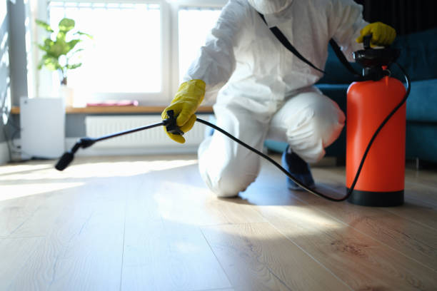 Reliable Odor Removal contractor in Acton, CA by Trauma Clean Pros